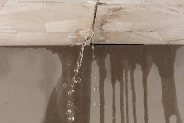 Professional Burst Pipe Cleanup technician working in Syracuse, KS